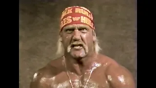 Hulk Hogan talks about the Ultimate Warrior's physique