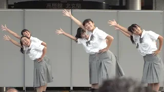 ダンスパワーSAKAI 2019　～堺っ子体操 登美丘高校ダンス部（TDC）ヴァージョン～　　Dance Power SAKAI 2019 / Tomioka Dance Club　　　[4K]