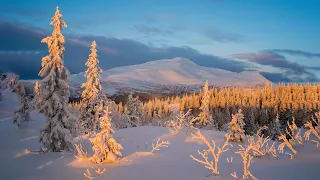 Зимняя ягода! Падал снегснег! Это невероятно Потрясающие треки, Музыка для Души и Релаксации