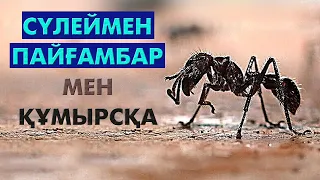 Сүлеймен пайғамбар мен құмырсқа