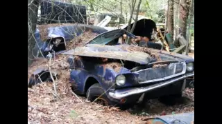 Mustang junkyard