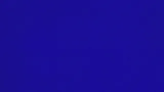 66 x 60s Klein Blue