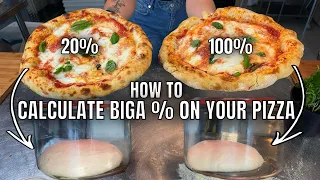 In Depth Understanding Biga % For Pizza Dough