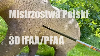 Mistrzostwa Polski w łucznictwie 3D Relacja/Vlog