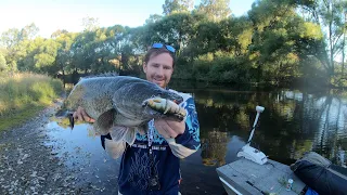 Small River Swimbait Success | Murray Cod Fishing