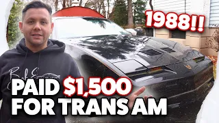 1988 Trans AM $1500 Barn Find!! | Chasing Classics | Episode 8