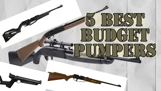 5 Best Budget Multi-Pump Air Rifles Under $100