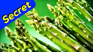 Growing Asparagus - Year Round (Garden Secrets)
