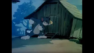 Tom And Jerry Fine Feathered Friend  Original Titles Recreation 1942