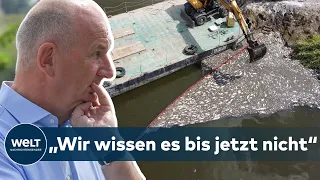 RÄTSELHAFTES FISCHSTERBEN: „Wir wissen bis jetzt nicht, was die Vergiftung verursacht hat“