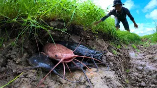 Best hand fishing - catch underground catfish in dry season by technique hand a fisherman