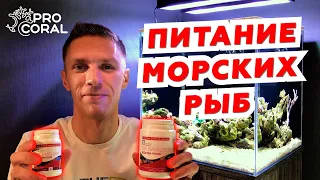 Питание морских рыб в домашнем аквариуме. Сухой и замороженный корм.