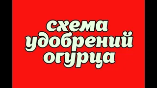 КОРНЕВАЯ ПОДКОРМКА ОГУРЦОВ МИНЕРАЛЬНЫМИ УДОБРЕНИЯМИ!