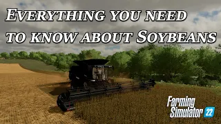 Everything you need to know about Soybeans in Farming Simulator 22