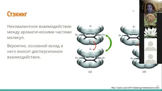 Молекулярная биология. Нуклеиновые кислоты. Рюмина Екатерина Д. Семинар 1-1