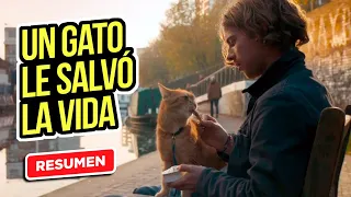 UN GATO CALLEJERO LLAMADO BOB | Resumen