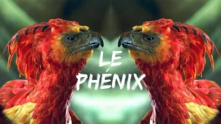 Le Phénix dans Harry Potter - Étranges Créatures #11