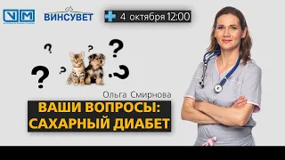 Ваши вопросы: сахарный диабет