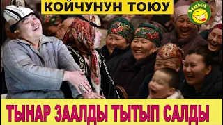 ТЫНАР КОЙЧУНУН ТОЮУ//ТЫНАР КЕЛИНДИ ЭМНЕ КЫЛЫШТЫ БИЛБЕЙ