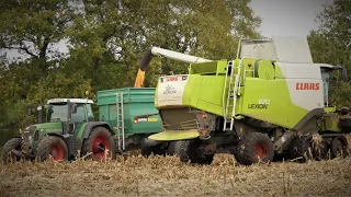 Körnermais Dreschen 2022/ Claas Lexion 670 TT/ Fendt Vario 820 TMS