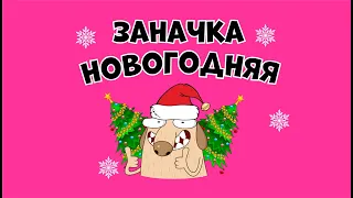 Заначка Новогодняя! Сотки на все случаи жизни