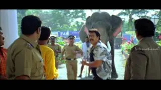 Thuruppu Gulan Malayalam Movie | Mlayalam Movie | Mammooty | Brings Elephant to Hotel