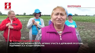 Зорівська громада однією з перших долучилася до програми «Сади перемоги»