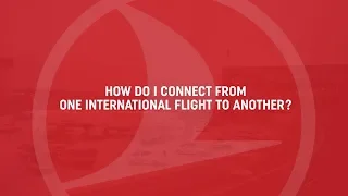 Transfer International to Another - Turkish Airlines