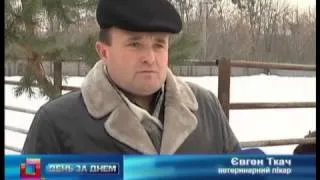 Телеканал ВІТА новини 2013-01-02 День за днем