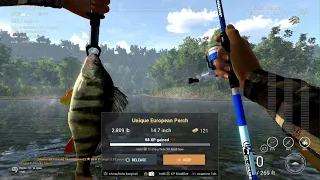 FishingPlanet- Tiber River, Unique European Perch