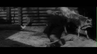 Tarkovsky lit a cow on fire