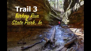 The Ladders, Canyons, & Waterfalls of Trail 3 | Turkey Run State Park| Indiana