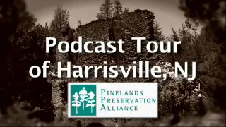 Harrisville Pinelands Documentary