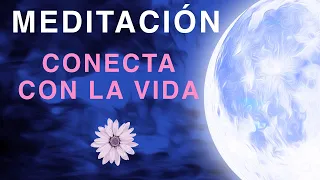 Meditación para Dormir Conectando con el Propósito de tu Vida