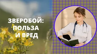 Зверобой: польза и вред. Взаимодействие зверобоя с лекарственными препаратами.