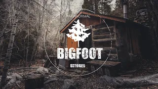 Dog Alerts BIGFOOT To Location Of Lone Female Hiker | SASQUATCH ENCOUNTERS