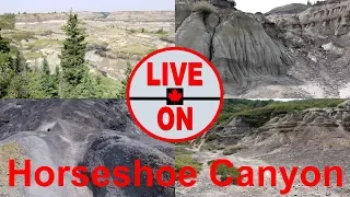 Canadian Badlands Hike. Horseshoe Canyon, Alberta #hiking