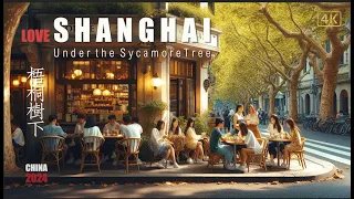 Shanghai, China I Streets Under the Sycamore Tree in Early Summer I 4K