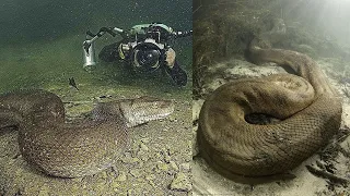 10 Shocking Discoveries Made by Deep Sea Divers