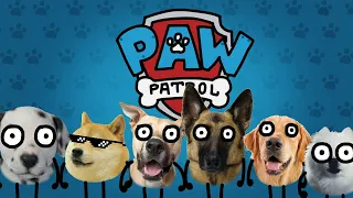 Flea Patrol (A parody of Paw Patrol)