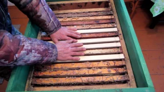 Обновление гнезда рамочек в 16 рамочном улье. Beekeeping.