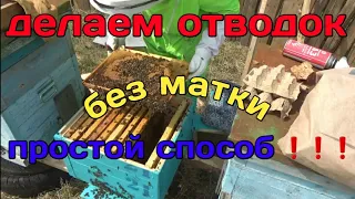 Делаем самый простой отводок,,,+1 семья😊