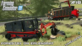 Transporting LOGS and removing STUMPS | Forestry on ERLENGRAT | Farming Simulator 22 | Episode 18