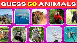 Guess 50 Animals | Can You Get Them All Correct?!