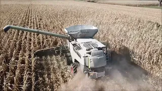 MYERS FARMS SHELLING CORN NOV 10TH, 2022 CLAAS 8700 COMBINE AND DRAGO GT 16 ROW FOLDING CORN HEAD