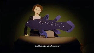 Animated Life: The Living Fossil Fish | HHMI BioInteractive Video