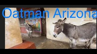 Ghost town Oatman Arizona Solo named after Olive Oatman Van life with dog