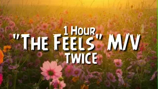 TWICE "The Feels" M/V 1 Hour