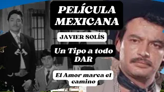 Película Mexicana UN TIPO A TODO DAR #javiersolis  #peliculas #cinemexicano #peliculaenespanol #amor