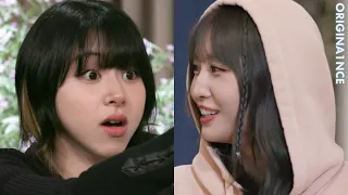 all this chaos just from twice eating mango🤣🤣🤣 (momo vs mango)